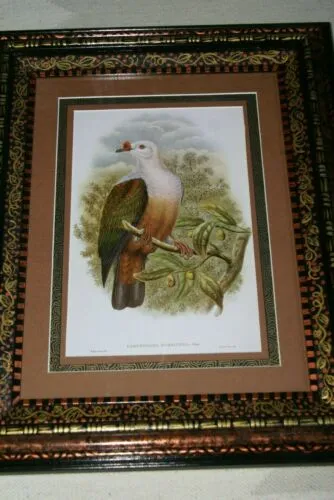 21"X 17” 1948 GOULD  New Ireland Fruit Pigeon  BIRD FOLIO LITHOGRAPH FRAMED IN SIGNED DETAILED ARTIST DETAILED HAND PAINTED FRAME WITH 3 MATS TO ENHANCE THE ART WITHIN GORGEOUS DFPN81 DESIGNER WALL ART DÉCOR