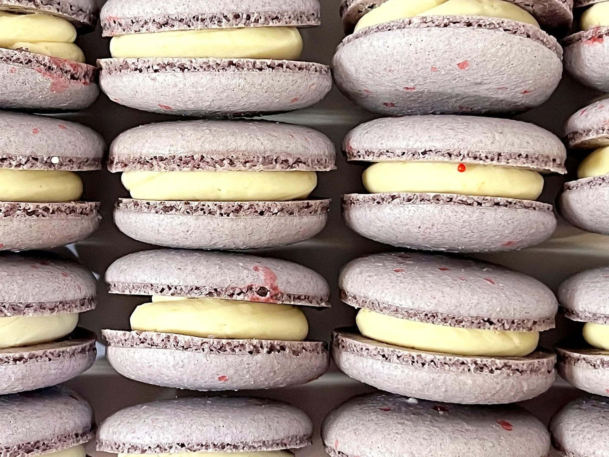 All Natural Blackberry Vegan French Macarons | Available in 24 & 48 Pack