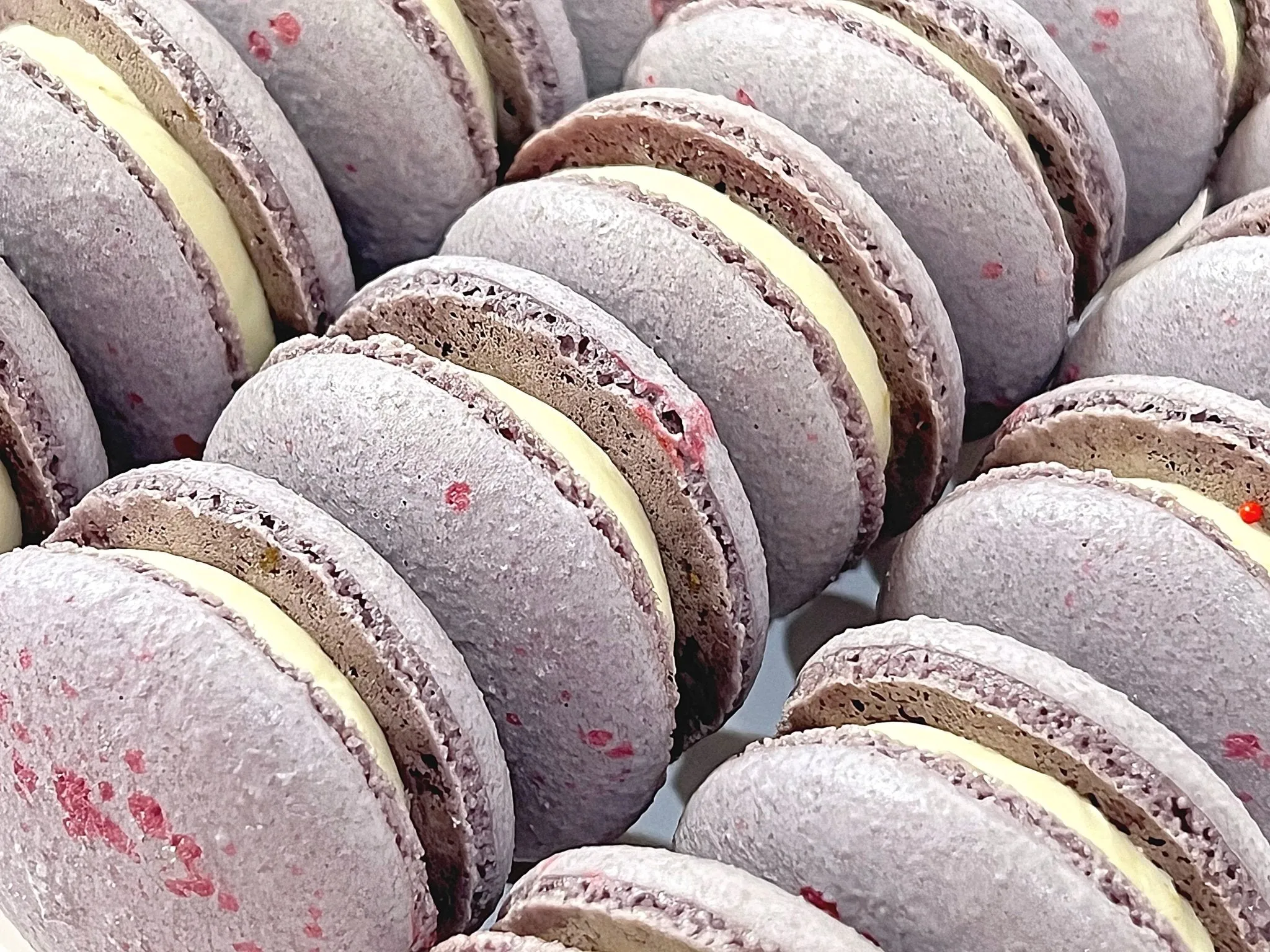 All Natural Blackberry Vegan French Macarons | Available in 24 & 48 Pack