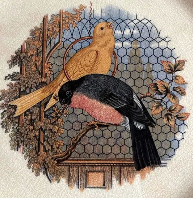 Antique Pratt Cauldon  Meadowlark & Goldfinch Birds BirdCage Brown Transferware Plate Relief Border