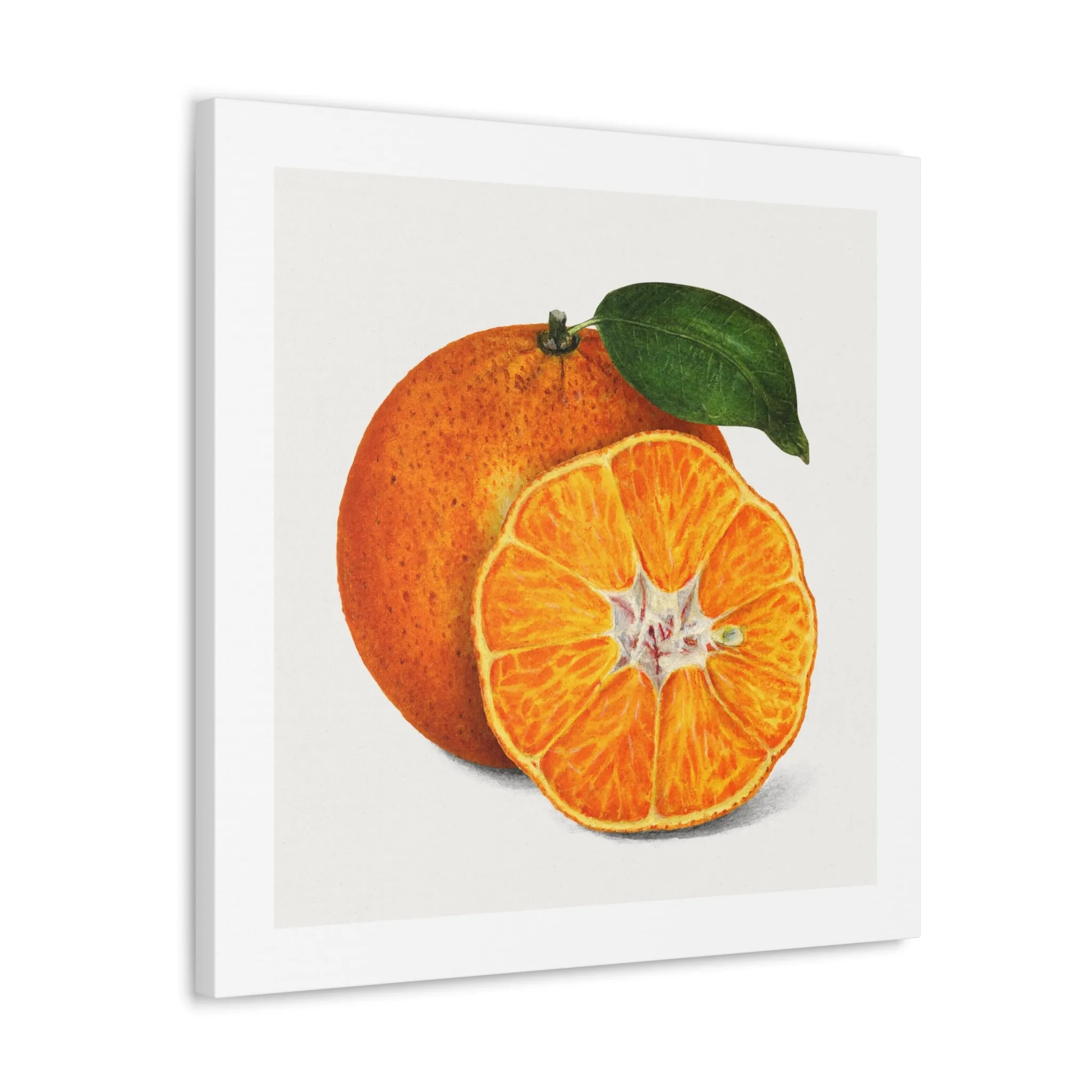 Delicious Orange Tangerine Illustration, Artist Unknown, Art Print on Canvas