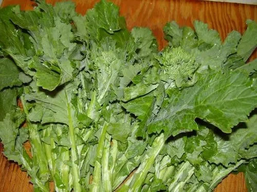 Essex Giant English Rape - Brassica Napus - Vegetable - 400 Seeds