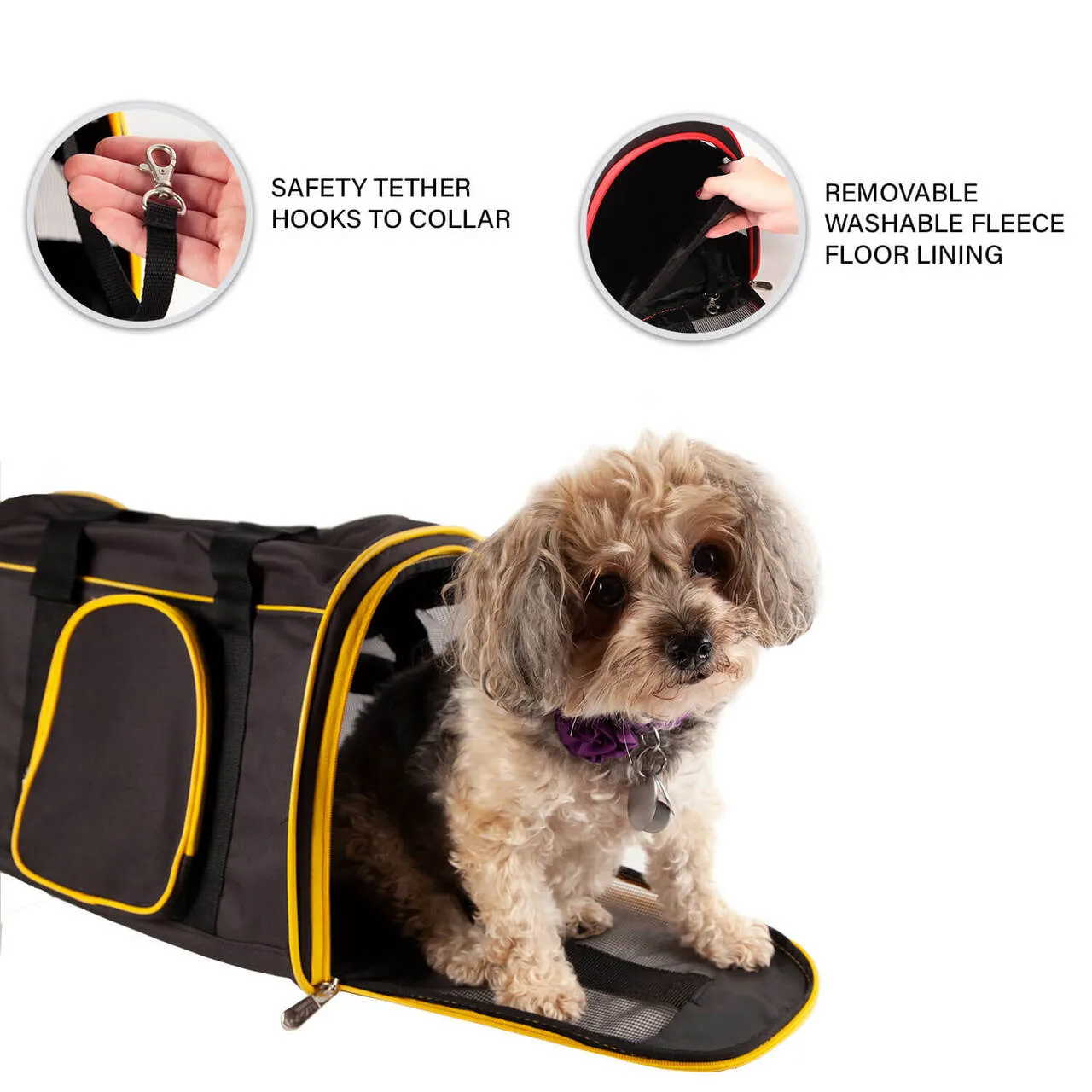 Illinois 16" Premium Pet Carrier