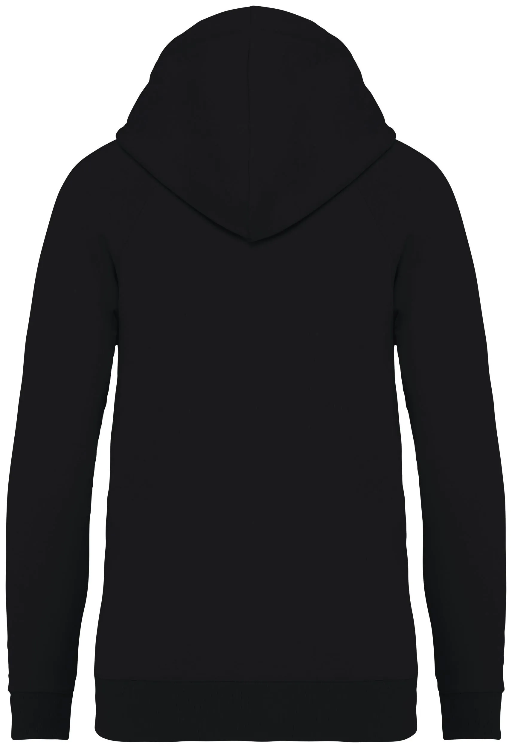 Ladies’ Hooded Sweatshirt With Raglan Sleeves - 350gsm - NS422