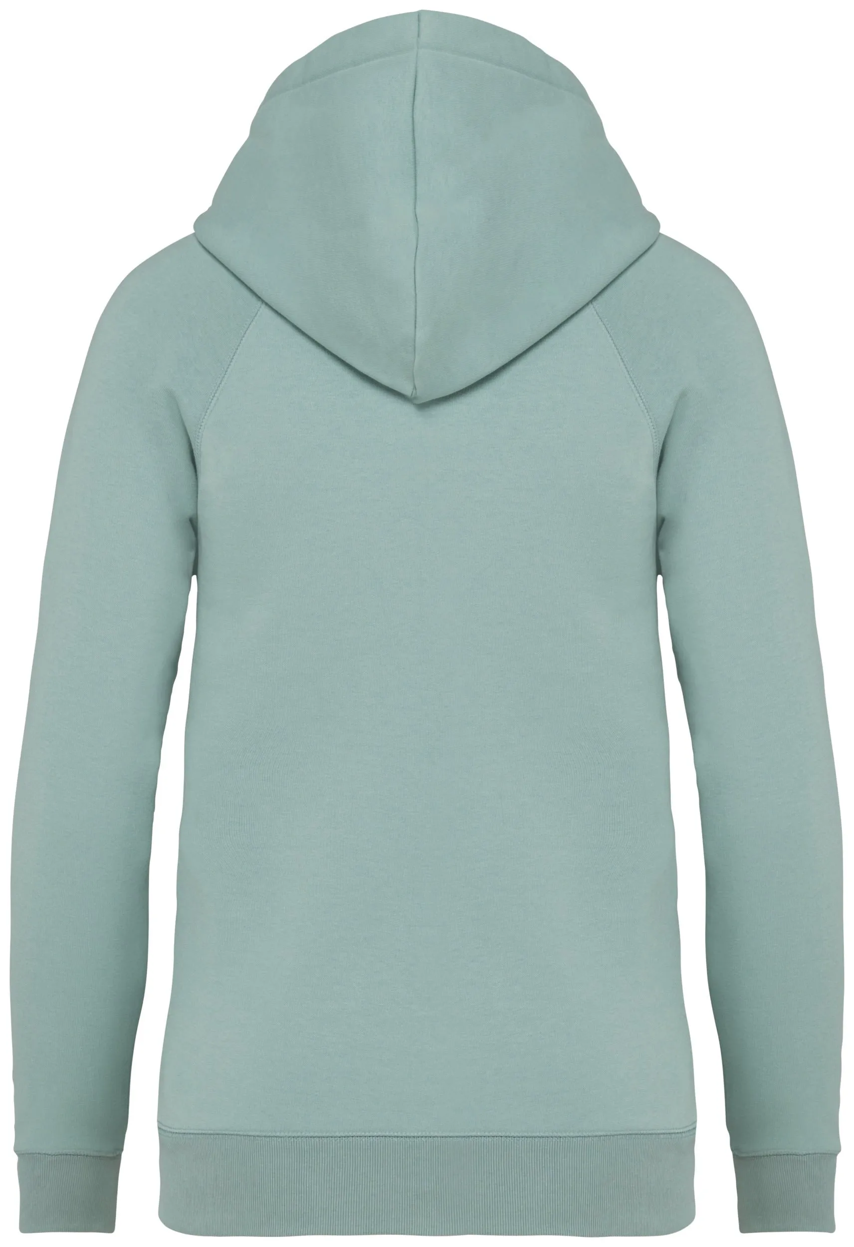 Ladies’ Hooded Sweatshirt With Raglan Sleeves - 350gsm - NS422