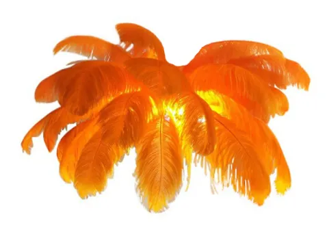 Luca Feather Chandelier-