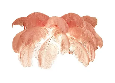 Luca Feather Chandelier-