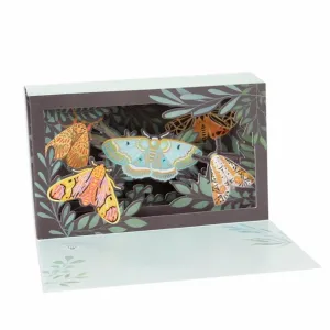 Moths Pop Up Card