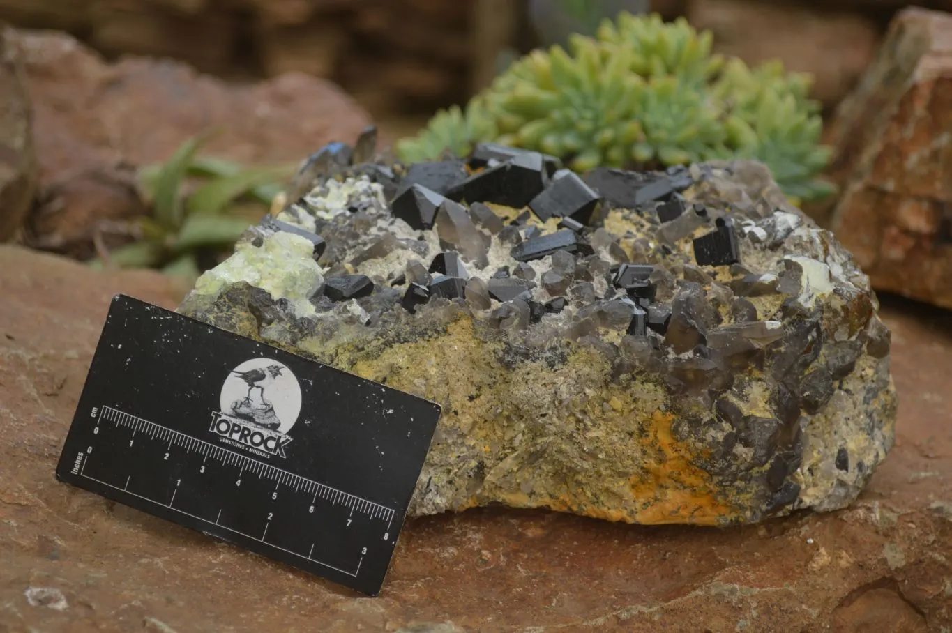 Natural Black Tourmaline Specimen With Hyalite Opal x 1 From Erongo Mountains, Namibia