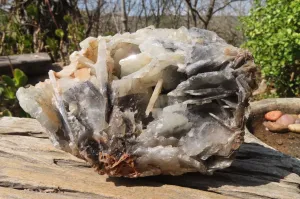 Natural Bladed Barite Specimen x 1 From Congo