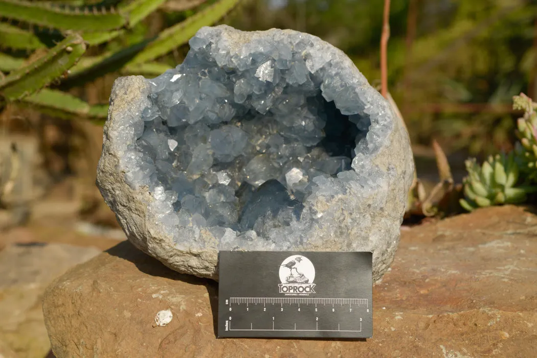 Natural Blue Celestite Geode Specimen With Large Cubic Crystals  x 1 From Sakoany, Madagascar