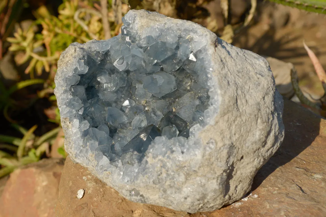 Natural Blue Celestite Geode Specimen With Large Cubic Crystals  x 1 From Sakoany, Madagascar