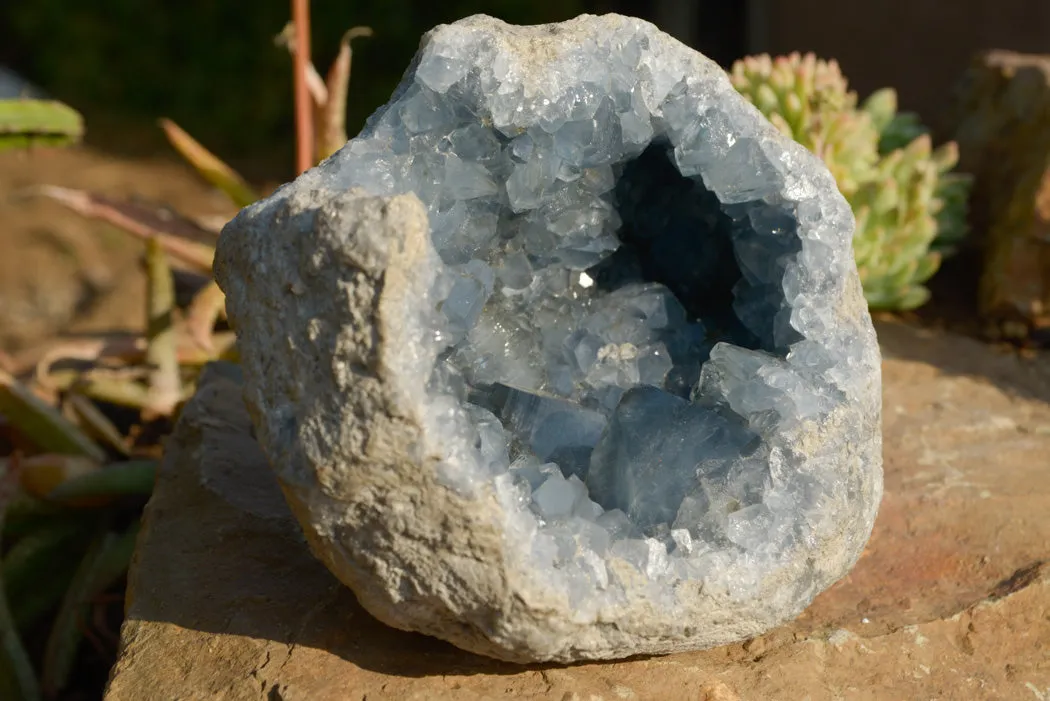 Natural Blue Celestite Geode Specimen With Large Cubic Crystals  x 1 From Sakoany, Madagascar