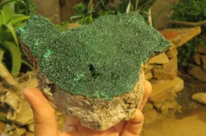 Natural Botryoidal Malachite Specimen x 1 From Tenke Fungurume, Congo