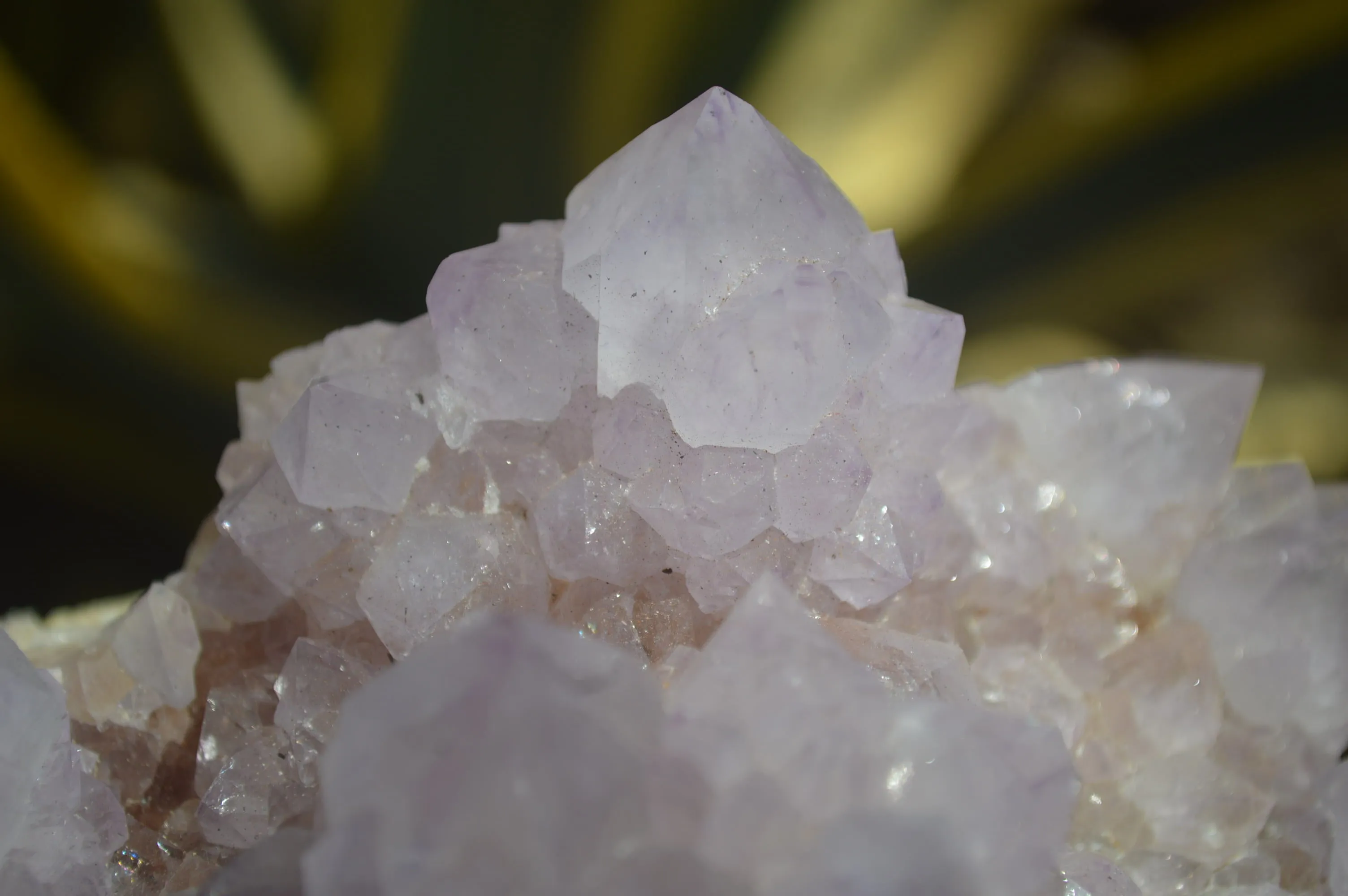 Natural Cactus Flower Spirit Quartz Cluster x 1 From Boekenhouthoek, South Africa