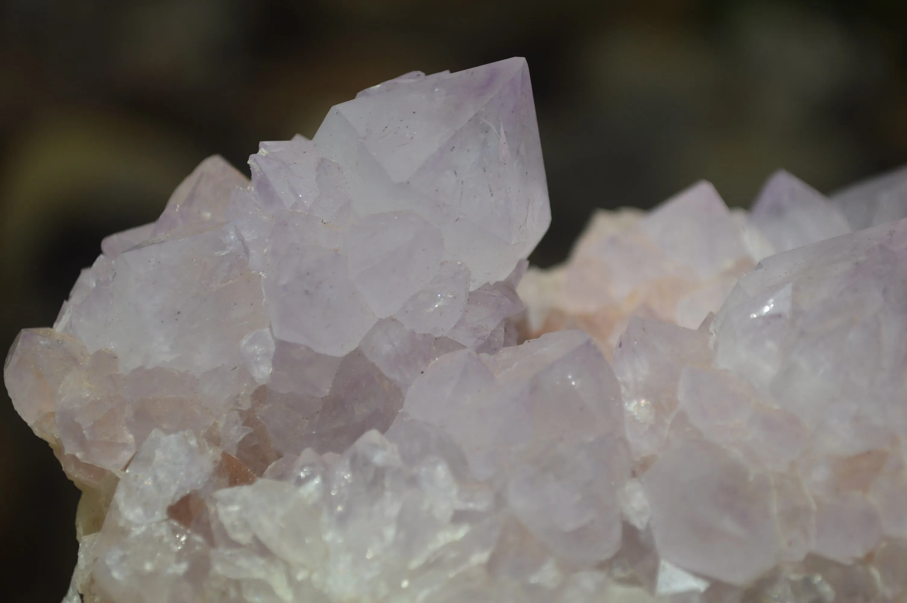 Natural Cactus Flower Spirit Quartz Cluster x 1 From Boekenhouthoek, South Africa