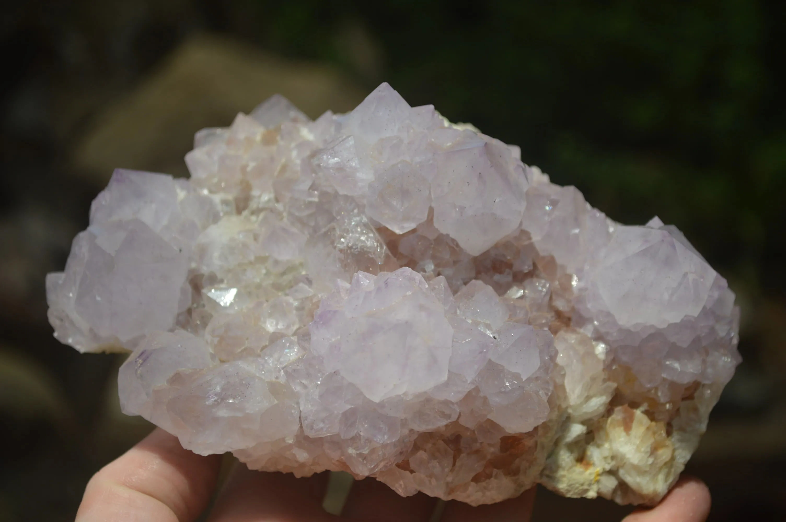 Natural Cactus Flower Spirit Quartz Cluster x 1 From Boekenhouthoek, South Africa