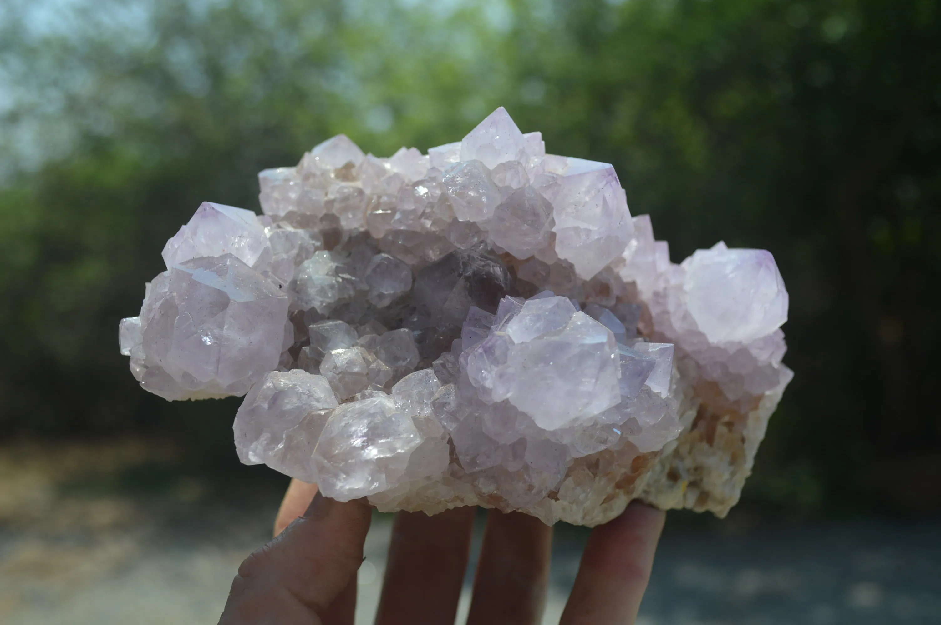 Natural Cactus Flower Spirit Quartz Cluster x 1 From Boekenhouthoek, South Africa