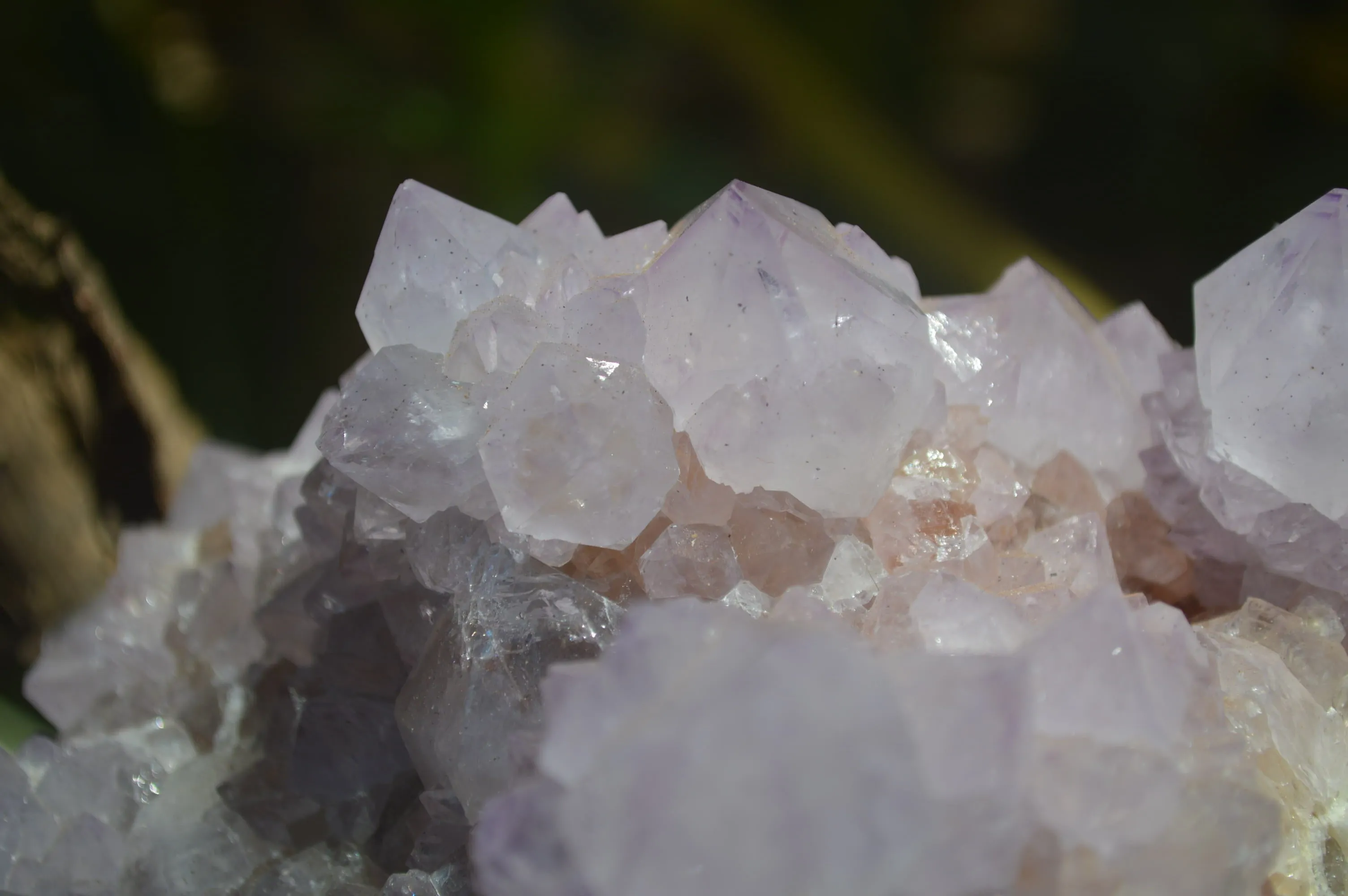 Natural Cactus Flower Spirit Quartz Cluster x 1 From Boekenhouthoek, South Africa