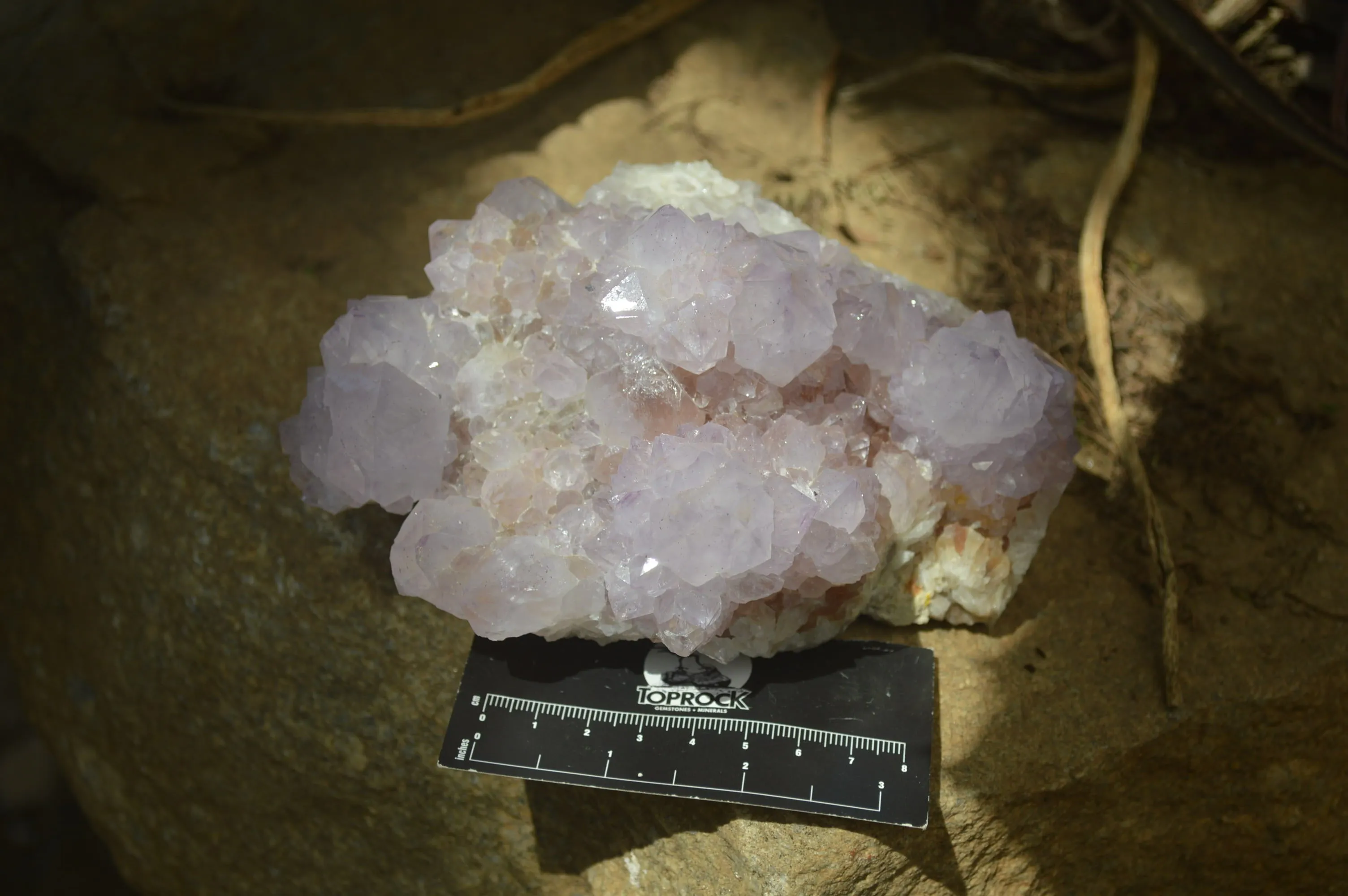 Natural Cactus Flower Spirit Quartz Cluster x 1 From Boekenhouthoek, South Africa