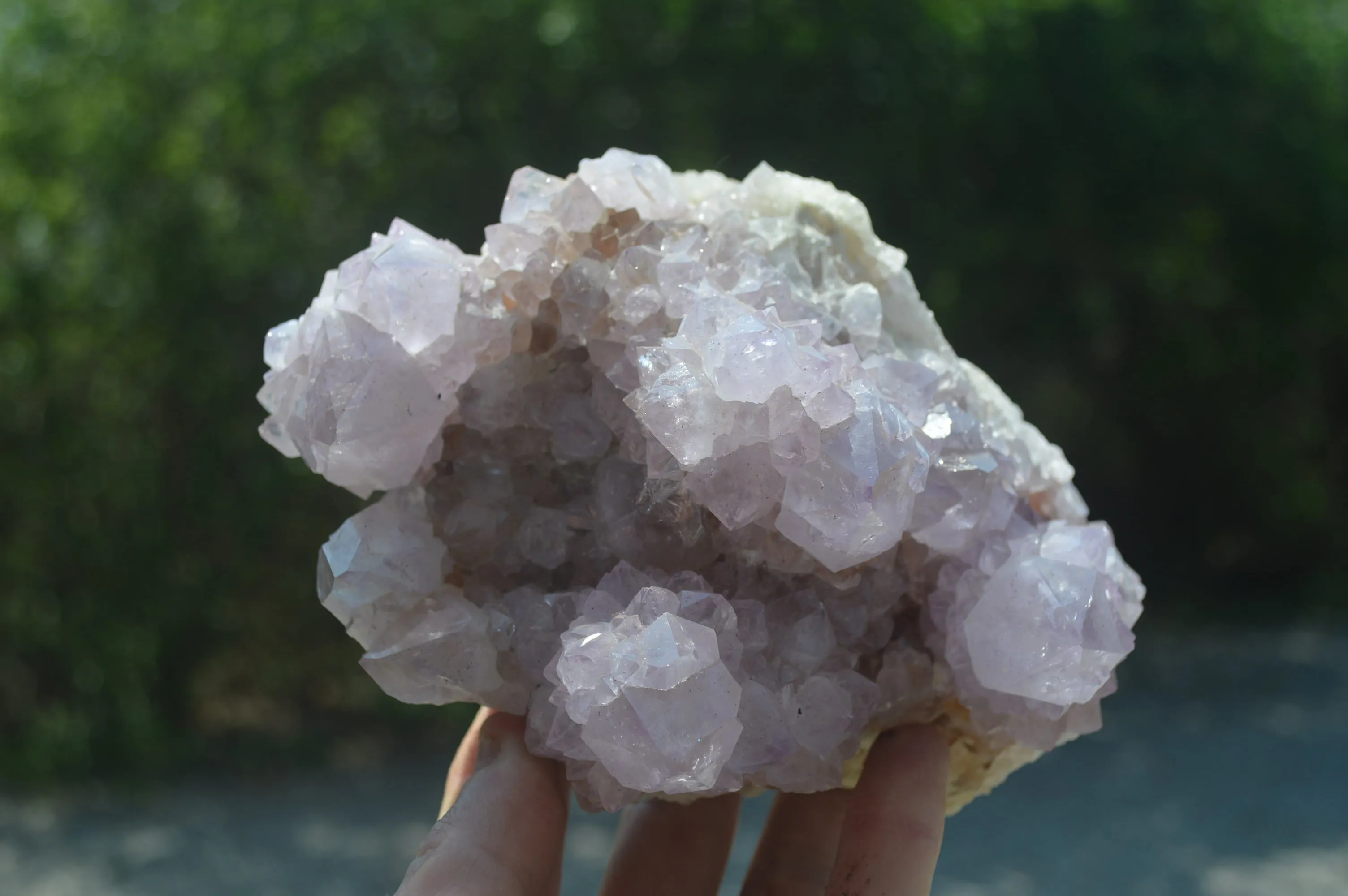 Natural Cactus Flower Spirit Quartz Cluster x 1 From Boekenhouthoek, South Africa