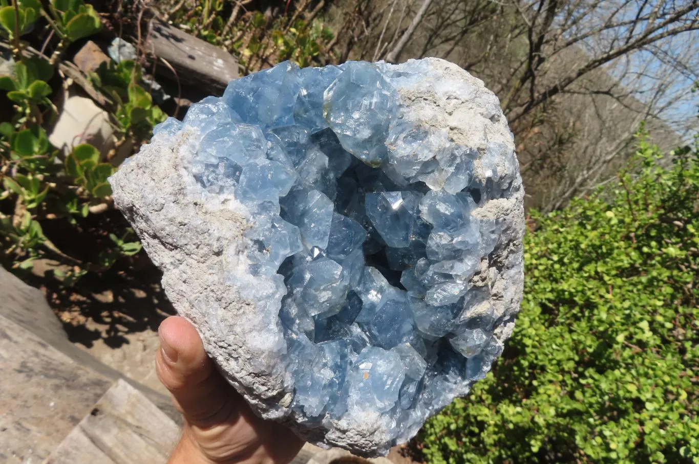 Natural Celestite Cluster x 1 From Sakoany, Madagascar