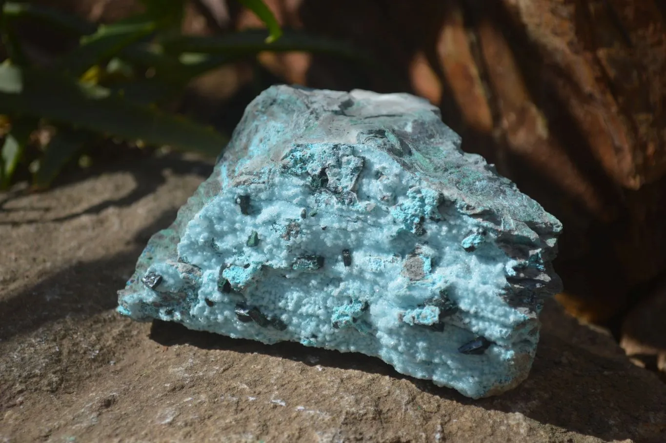 Natural Chrysocolla & Malachite Dolomite Specimen x 1 From Likasi, Congo