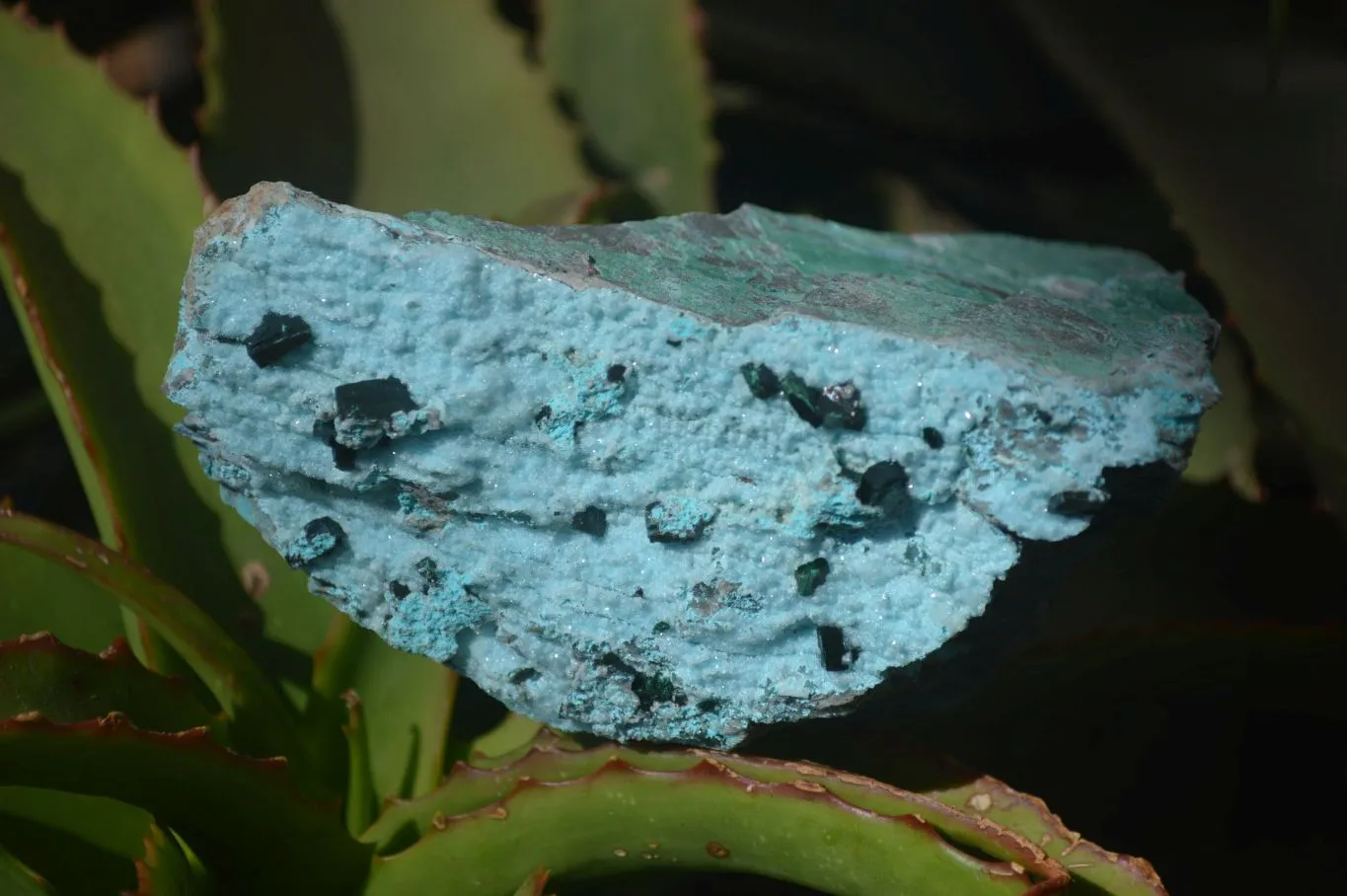 Natural Chrysocolla & Malachite Dolomite Specimen x 1 From Likasi, Congo