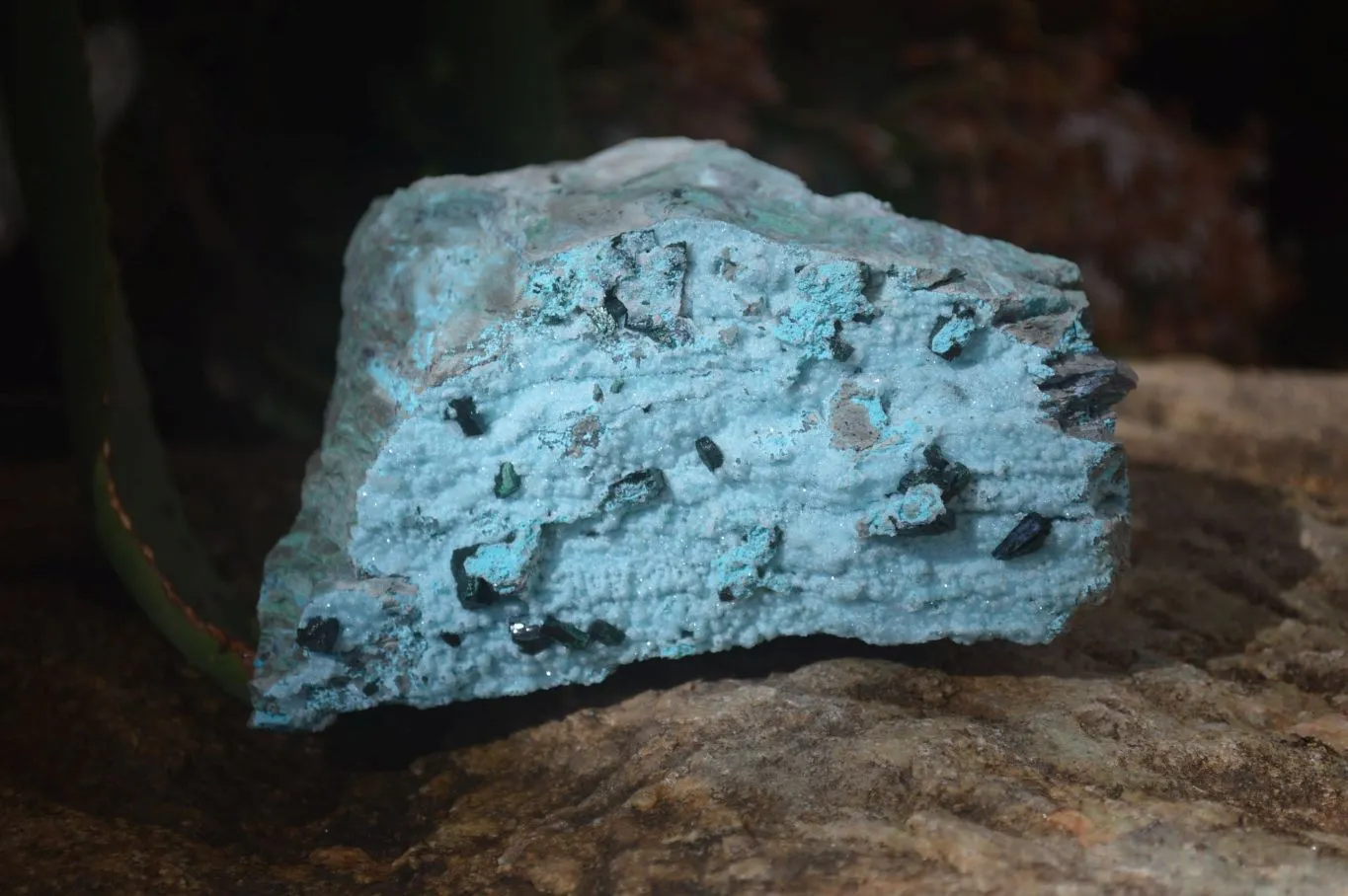 Natural Chrysocolla & Malachite Dolomite Specimen x 1 From Likasi, Congo