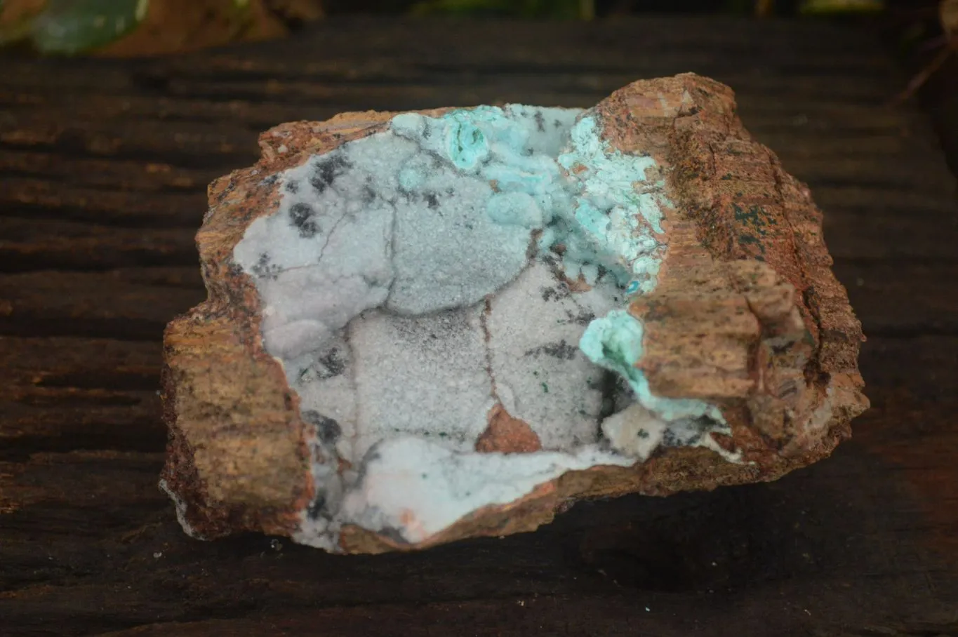 Natural Drusy Coated Chrysocolla & Malachite Specimen x 1 From Likasi, Congo