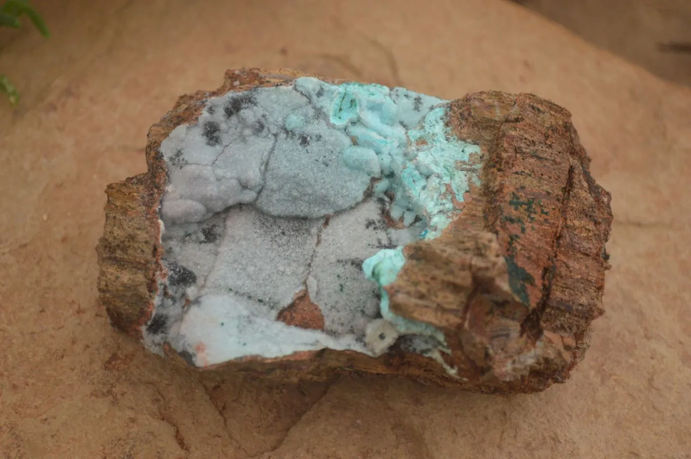 Natural Drusy Coated Chrysocolla & Malachite Specimen x 1 From Likasi, Congo