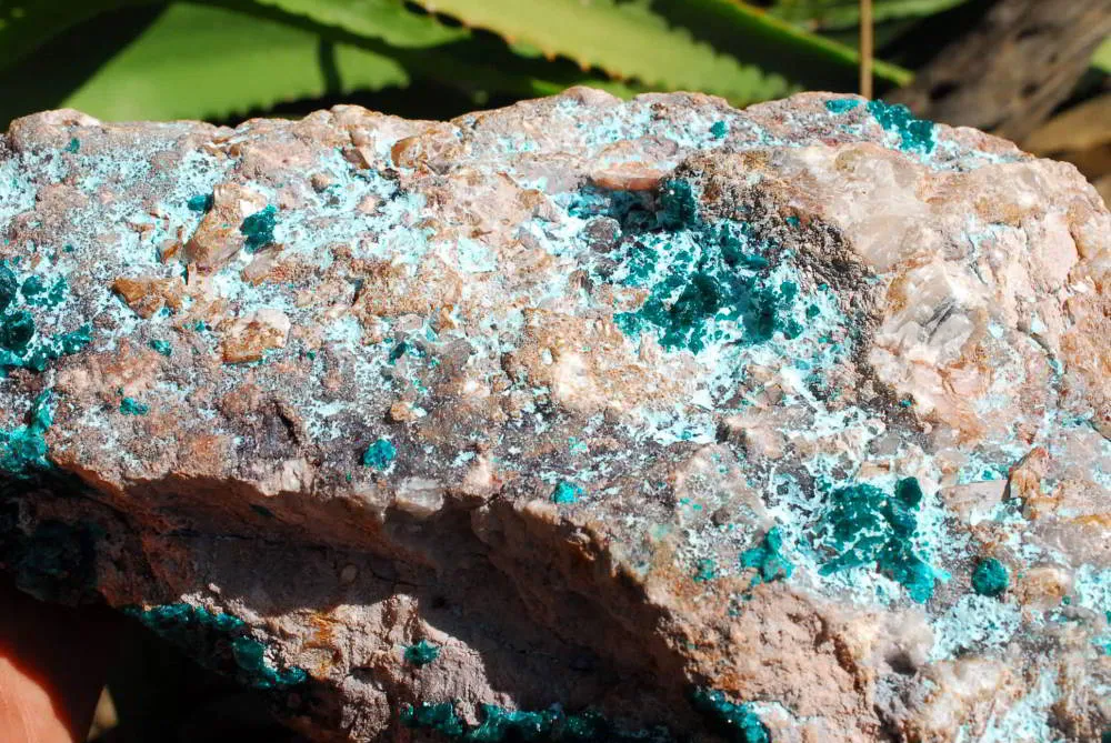 Natural Extra Large Classic Emerald Dioptase Museum Size Specimen x 1 From Tantara, Congo