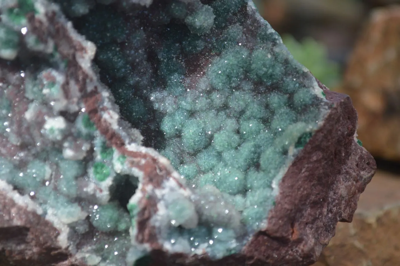 Natural Extra Large Drusy Coated Ball Malachite On Red Dolomite Specimen x 1 From Likasi, Congo