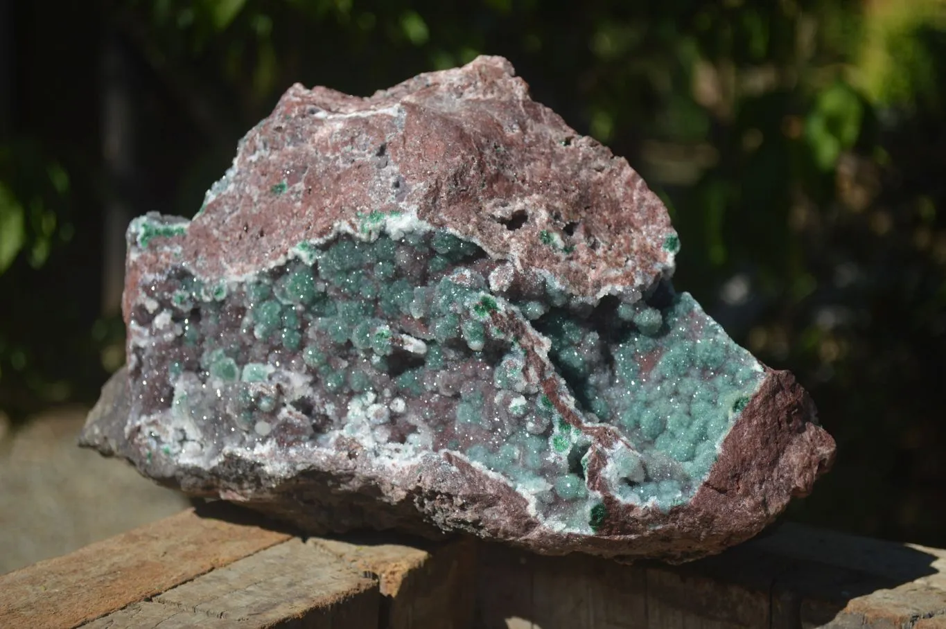 Natural Extra Large Drusy Coated Ball Malachite On Red Dolomite Specimen x 1 From Likasi, Congo