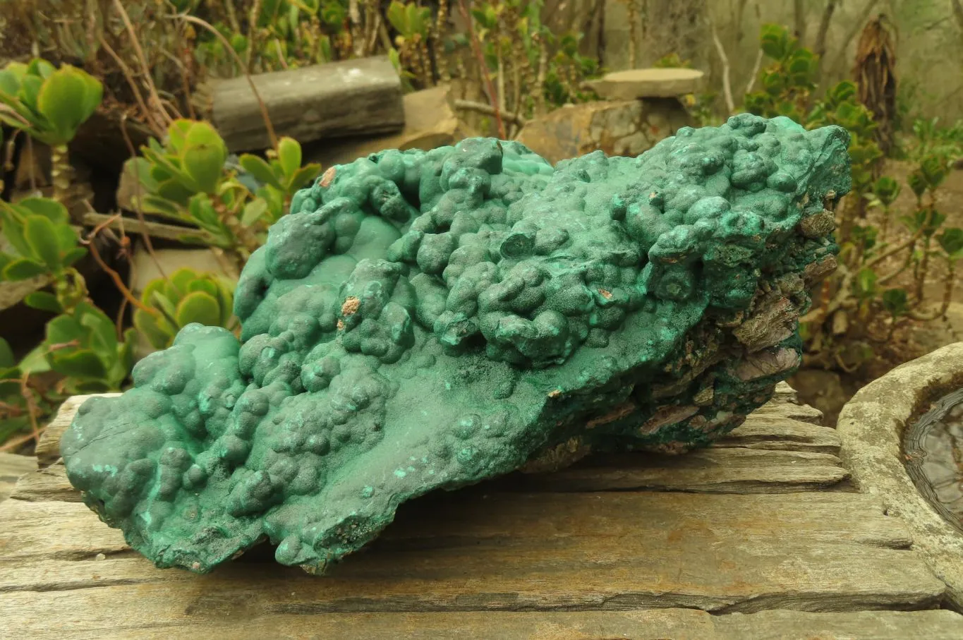 Natural Huge Botryoidal Malachite Specimen x 1 From Kolwezi, Congo