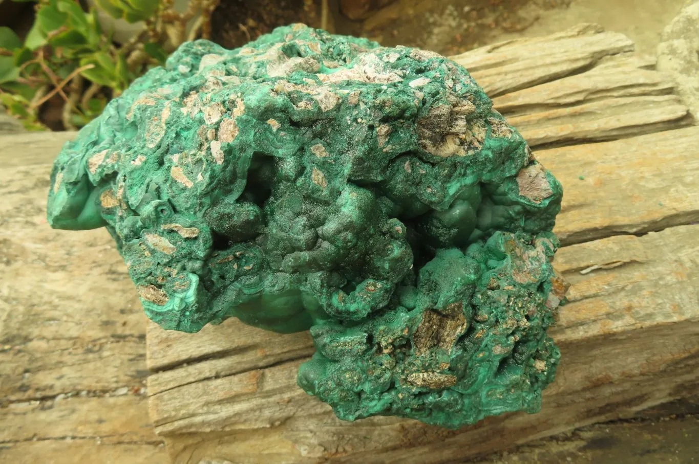 Natural Huge Botryoidal Malachite Specimen x 1 From Kolwezi, Congo