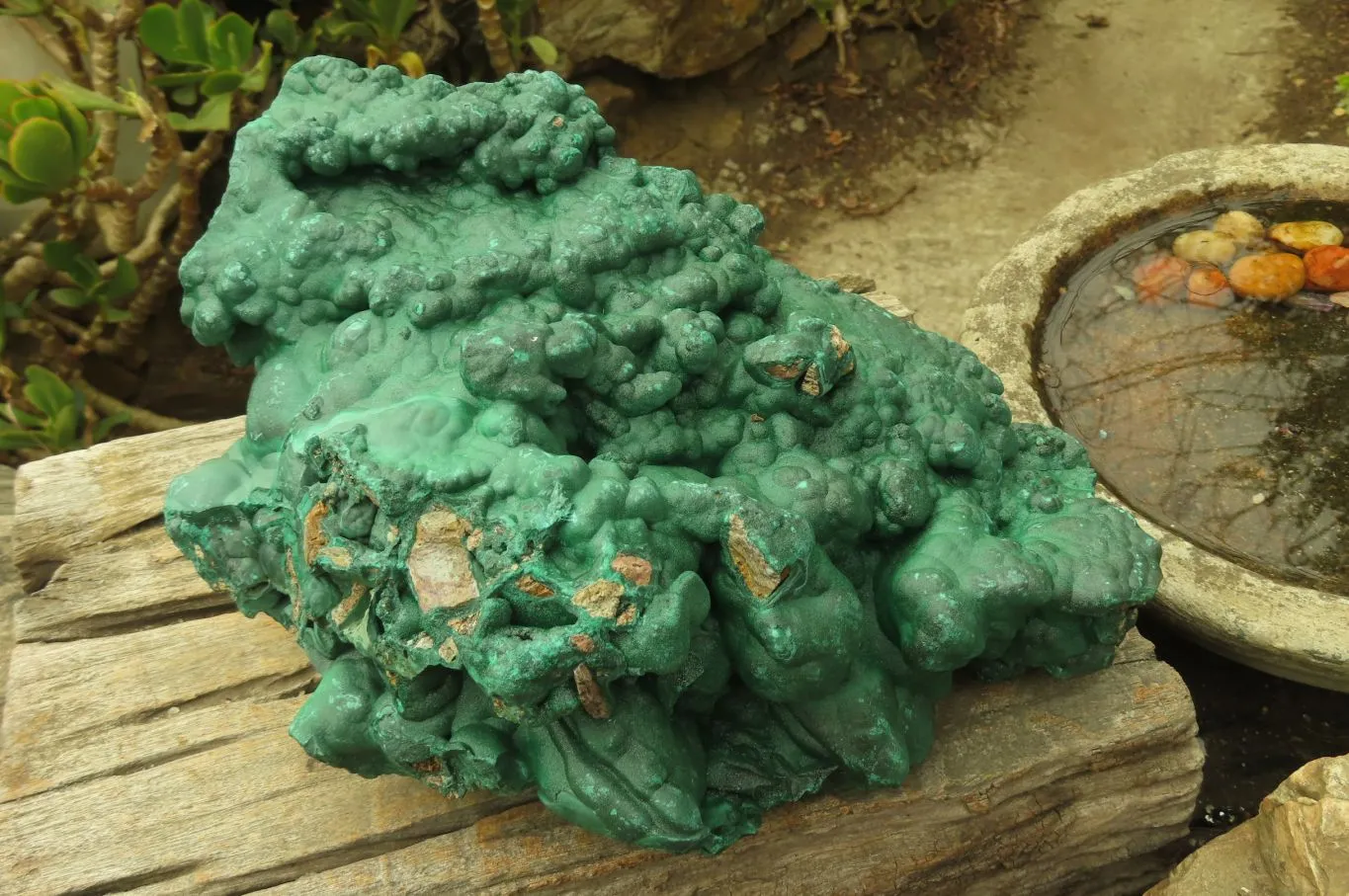 Natural Huge Botryoidal Malachite Specimen x 1 From Kolwezi, Congo