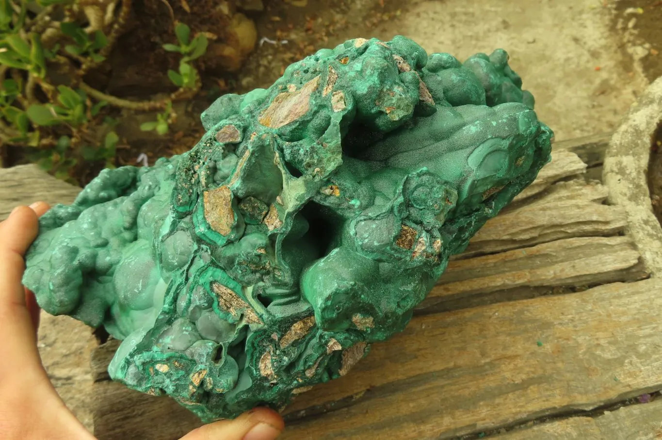 Natural Huge Botryoidal Malachite Specimen x 1 From Kolwezi, Congo