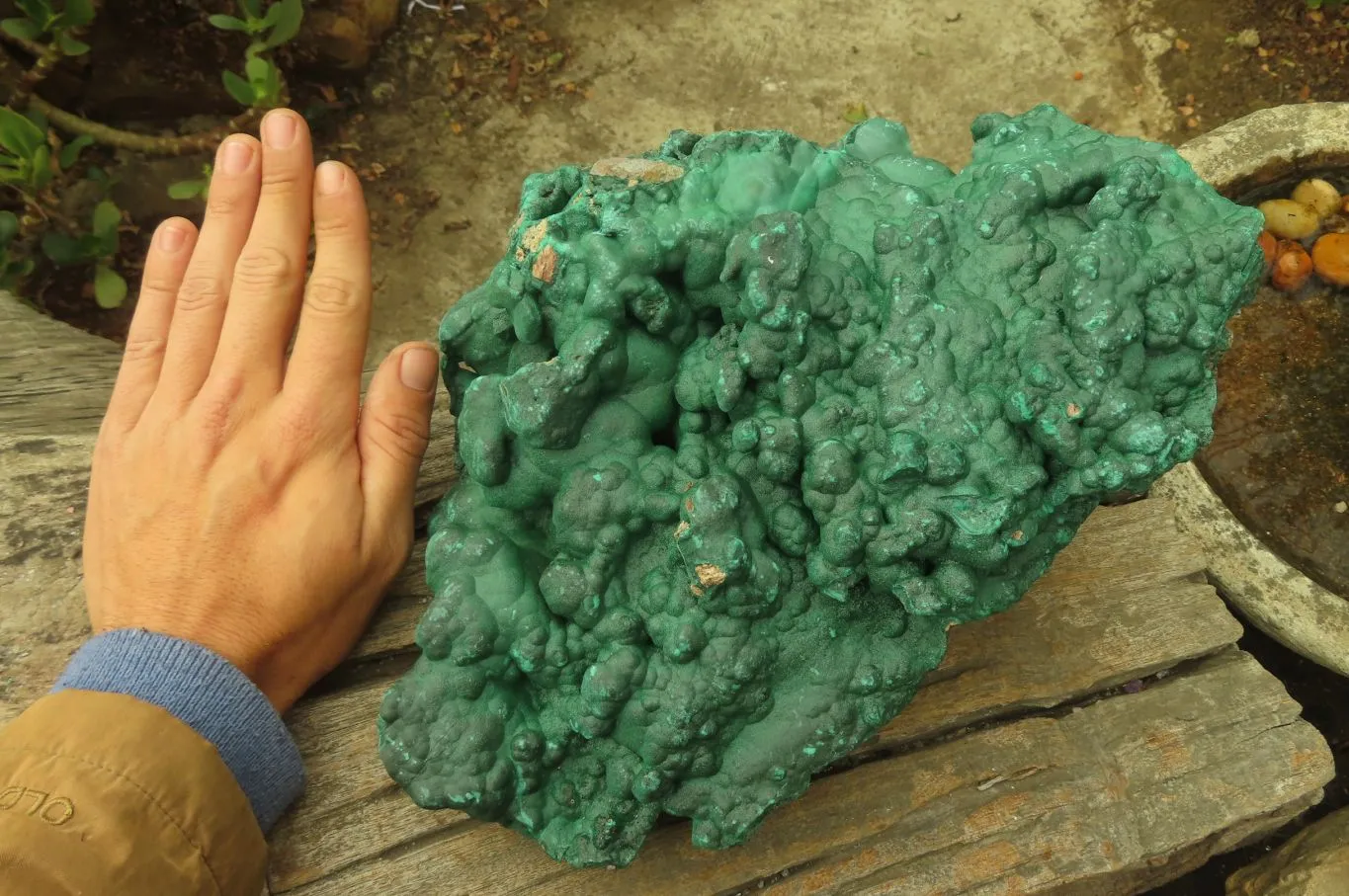 Natural Huge Botryoidal Malachite Specimen x 1 From Kolwezi, Congo