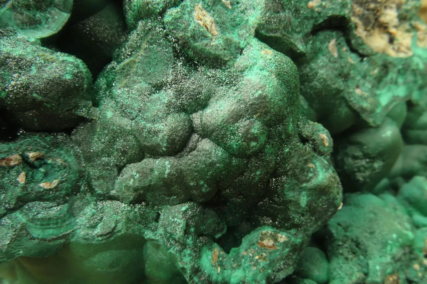 Natural Huge Botryoidal Malachite Specimen x 1 From Kolwezi, Congo