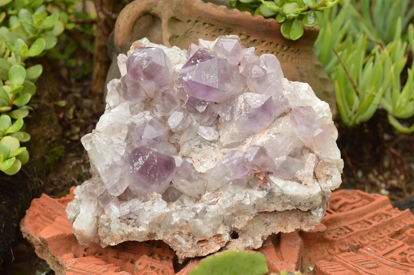 Natural Jacaranda Amethyst Quartz Cluster x 1 From Zambia