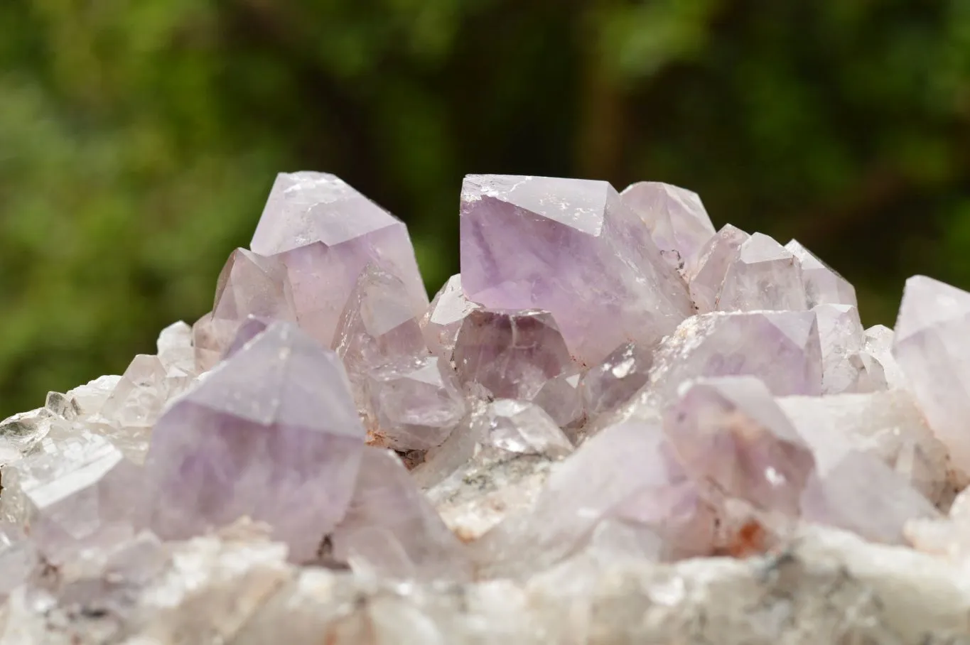 Natural Jacaranda Amethyst Quartz Cluster x 1 From Zambia