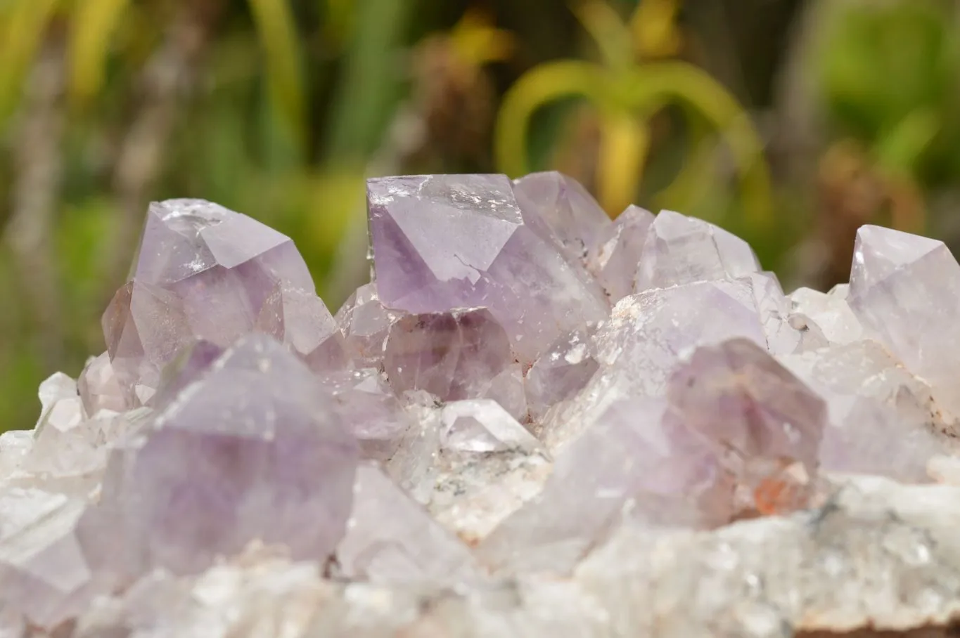 Natural Jacaranda Amethyst Quartz Cluster x 1 From Zambia