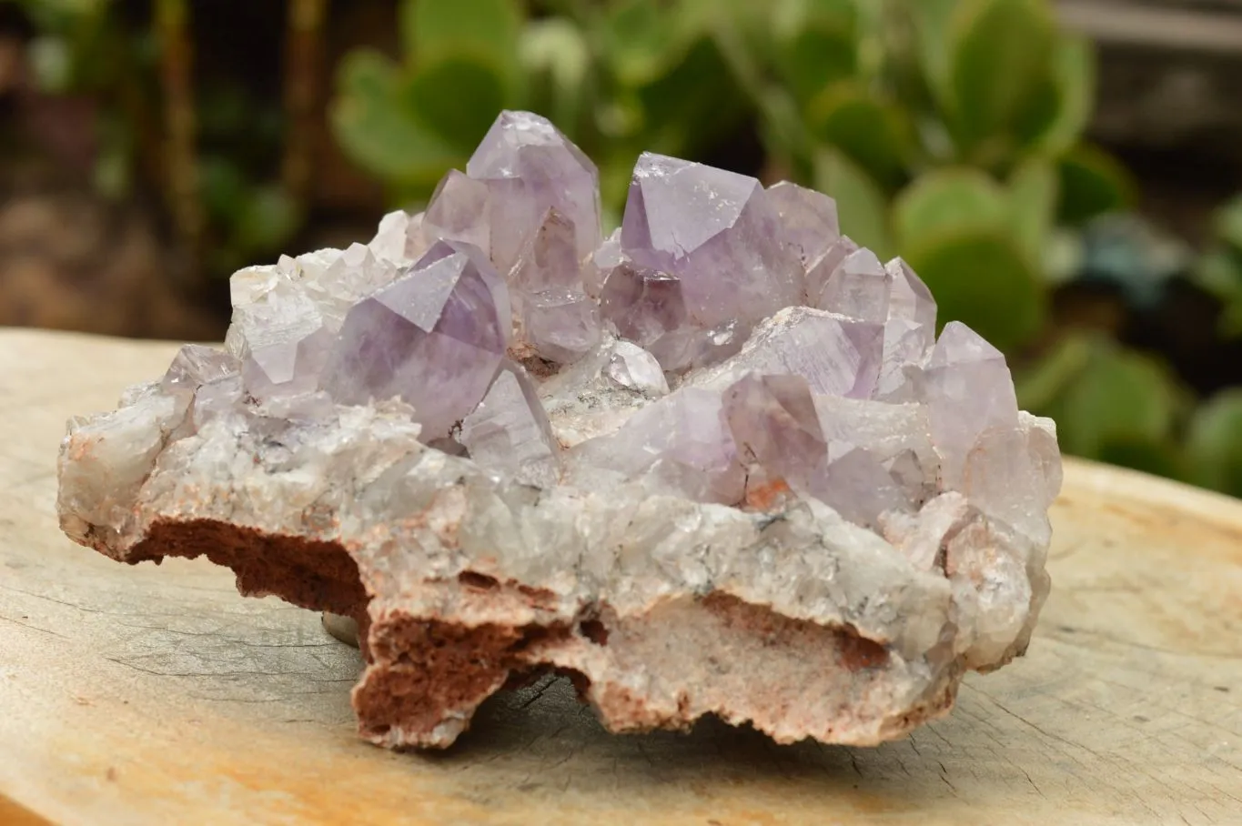 Natural Jacaranda Amethyst Quartz Cluster x 1 From Zambia