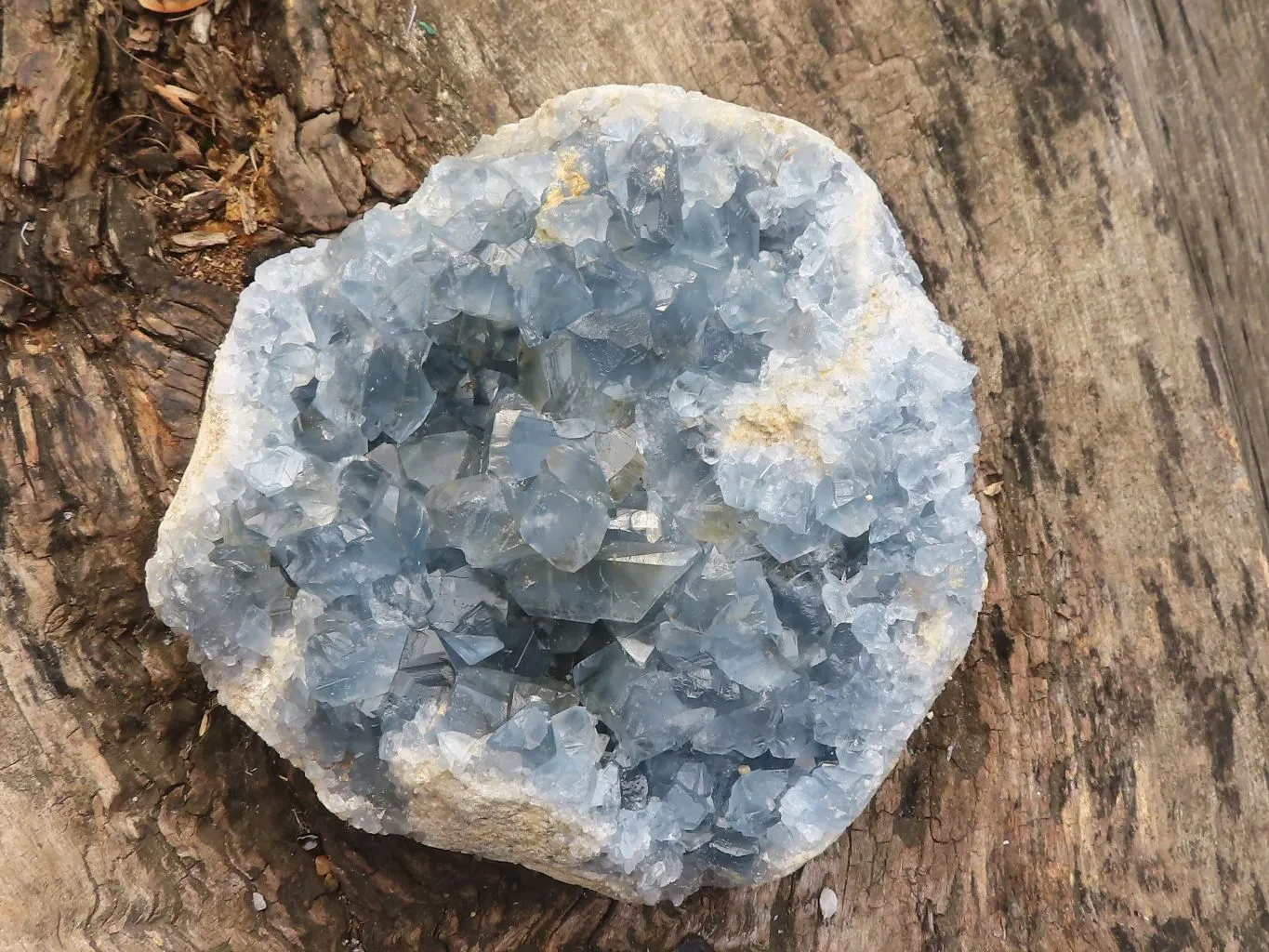 Natural Large Blue Celestite Crystal Specimen  x 1 From Sakoany, Madagascar