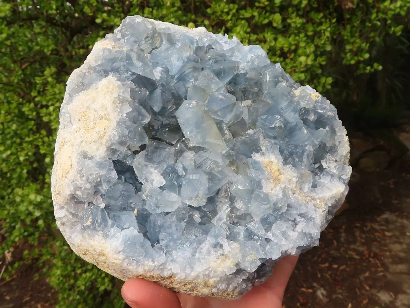 Natural Large Blue Celestite Crystal Specimen  x 1 From Sakoany, Madagascar