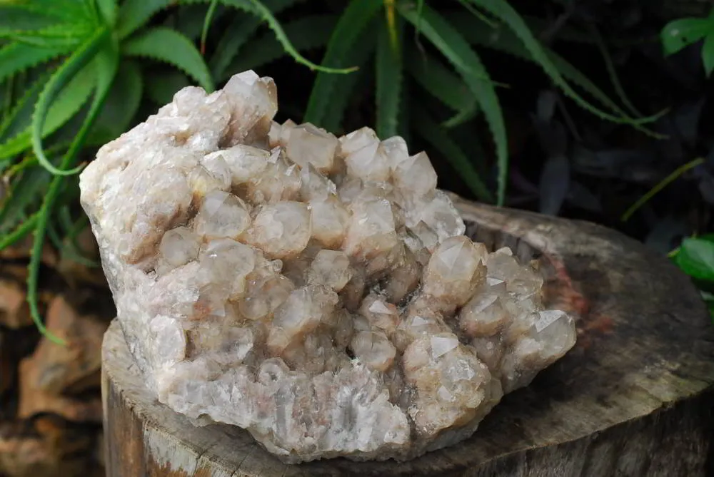 Natural Large Cascading White Phantom Luena Quartz Cluster x 1 From Luena, Congo