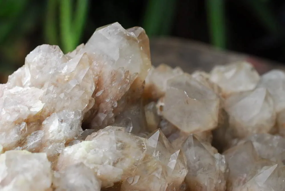 Natural Large Cascading White Phantom Luena Quartz Cluster x 1 From Luena, Congo