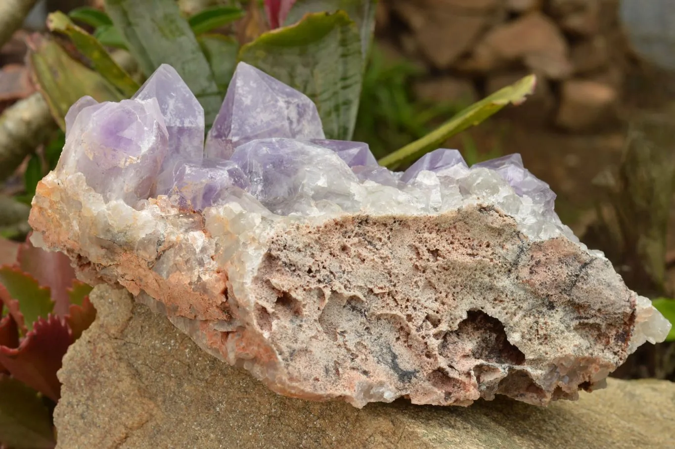 Natural Large Jacaranda Amethyst Cluster x 1 From Mumbwa, Zambia