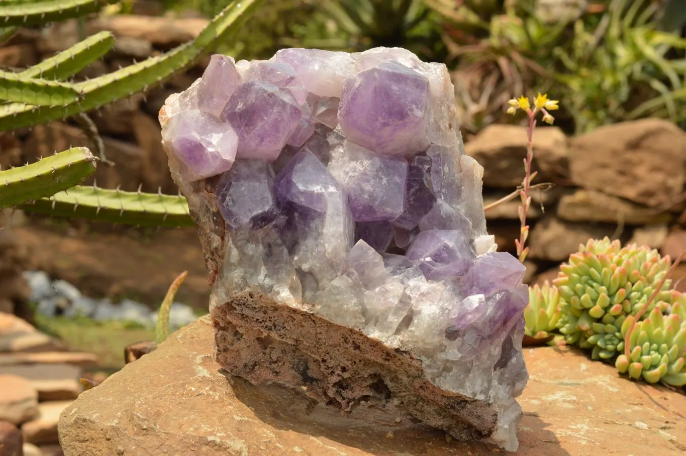 Natural Large Jacaranda Amethyst Cluster x 1 From Mumbwa, Zambia